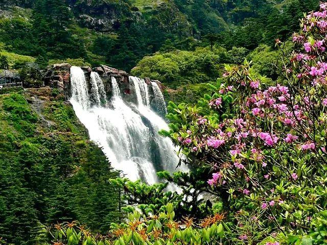 沪江开心词场