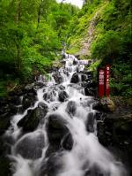 春雨直播app