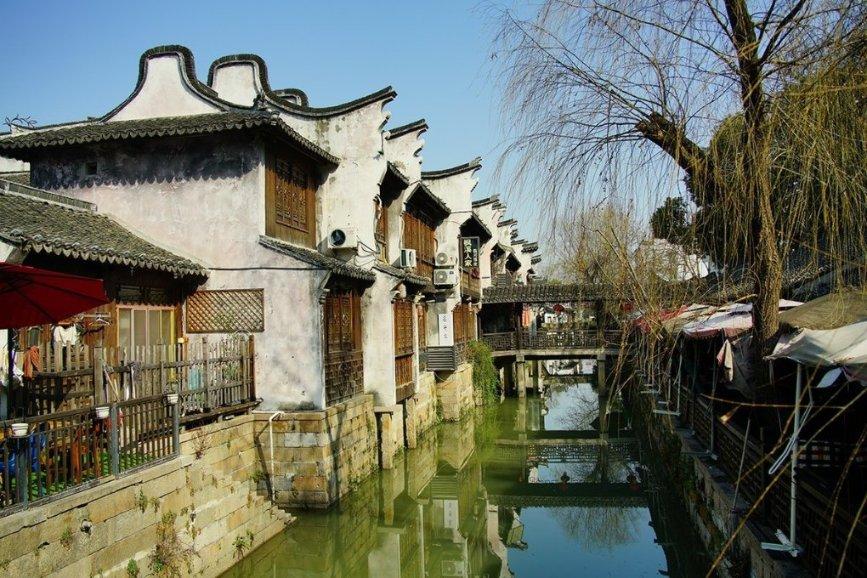 动物帮帮忙保卫家园