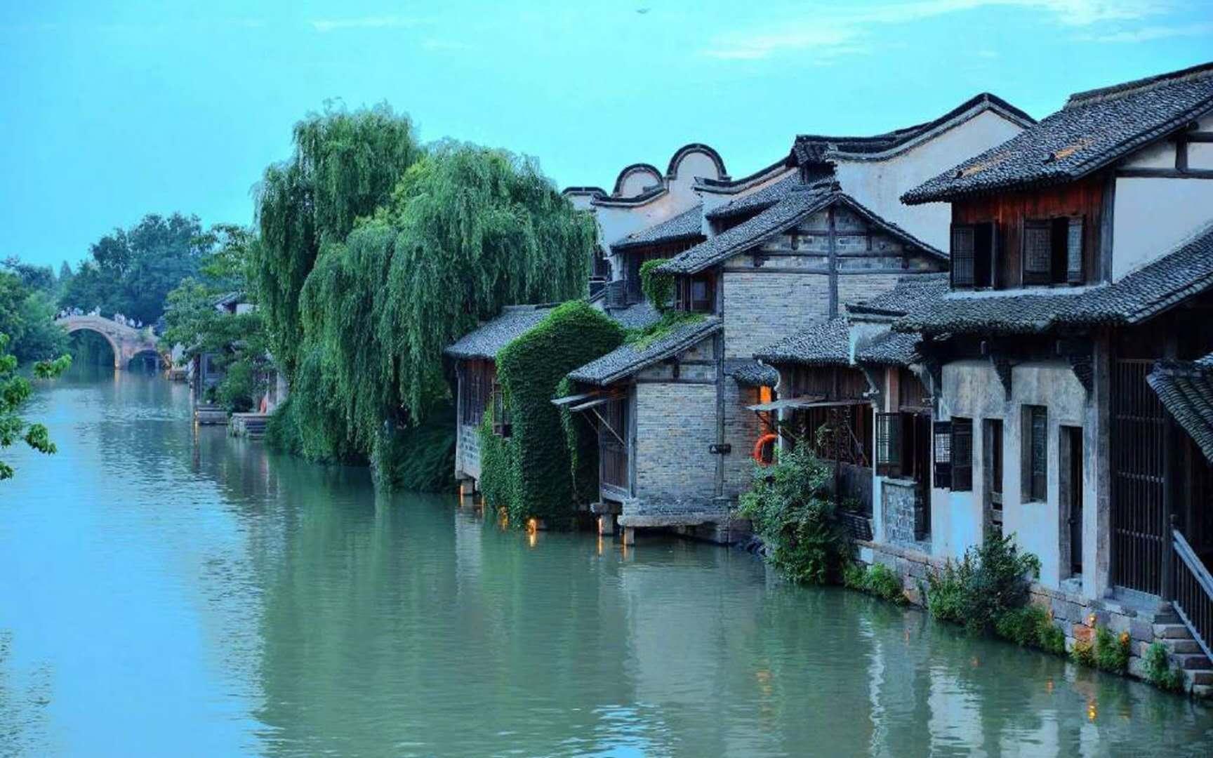 春雨直播app