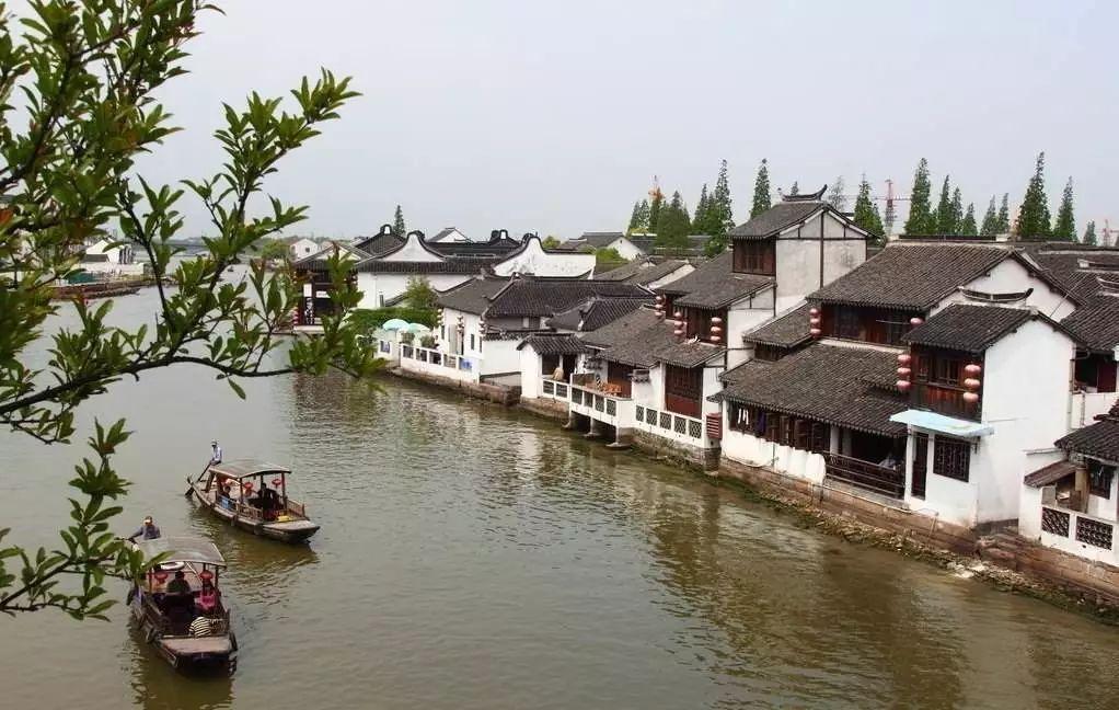 了解仓鼠可以吃新鲜蓝莓吗?——知识星球平台