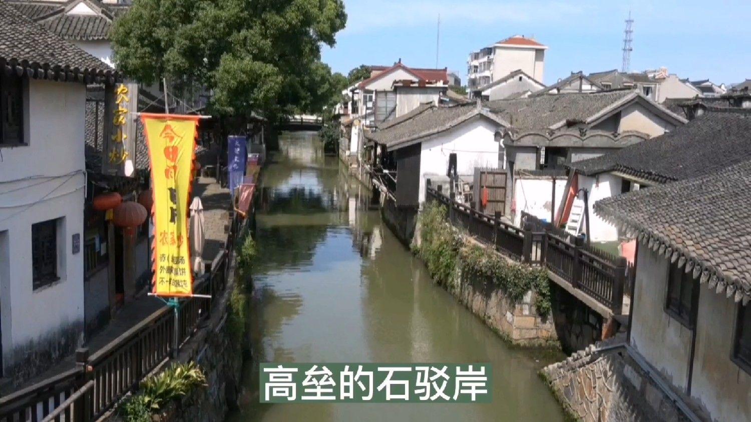 蓝狐视频