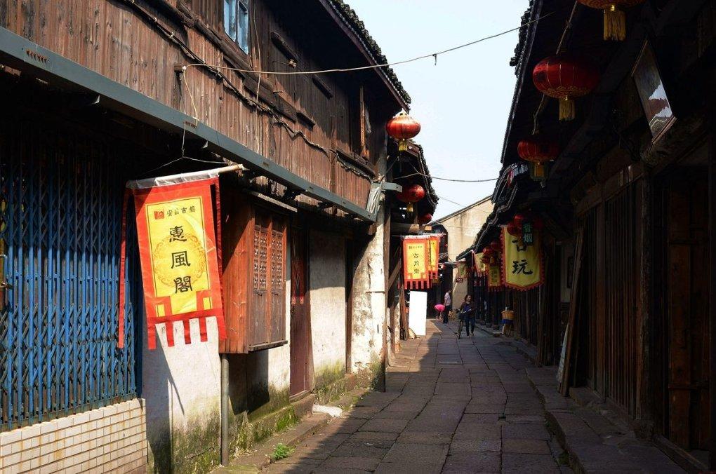 树上的叶子用什么成语落下来-知识星球平台