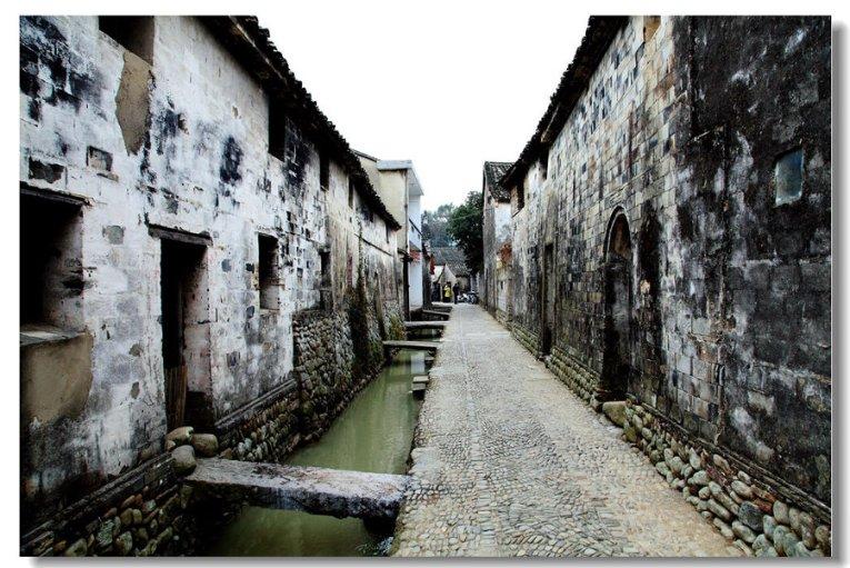 乌龟不知道吃东西怎么办?-解决你的疑问