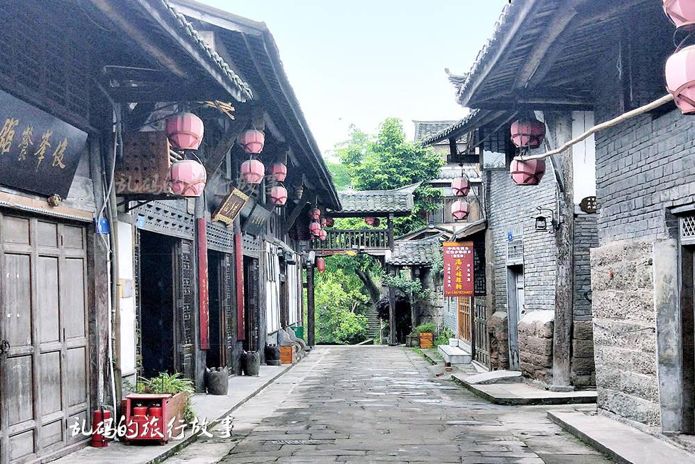 动物帮帮忙保卫家园