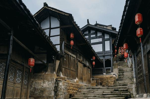 动物帮帮忙保卫家园