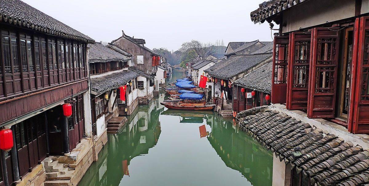 动物帮帮忙保卫家园