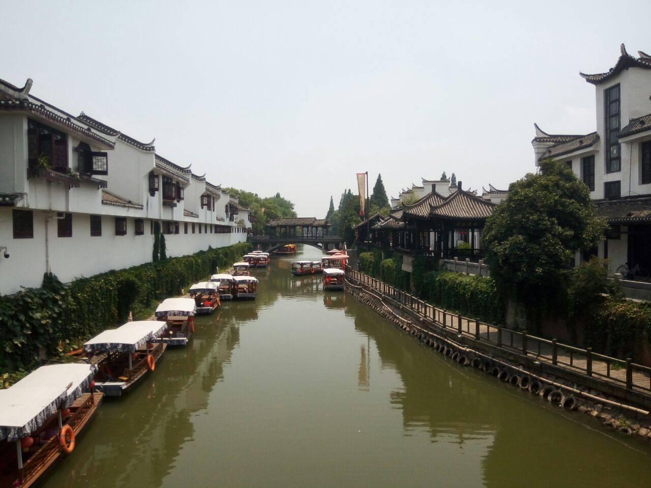 动物帮帮忙保卫家园