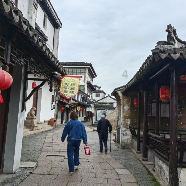 动物帮帮忙保卫家园