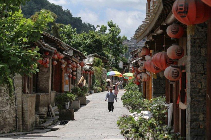 动物帮帮忙保卫家园