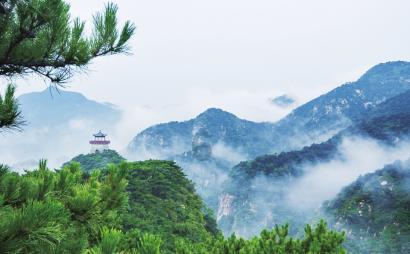 燃烧吧大脑装瓶子游戏