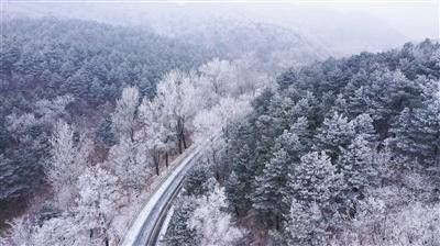 虫虫助手下载