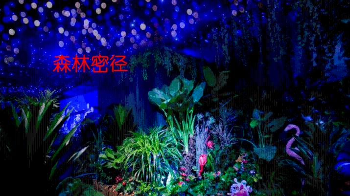 嘉日单词