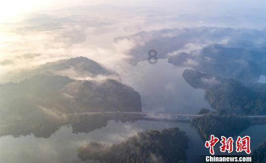 春雨直播app